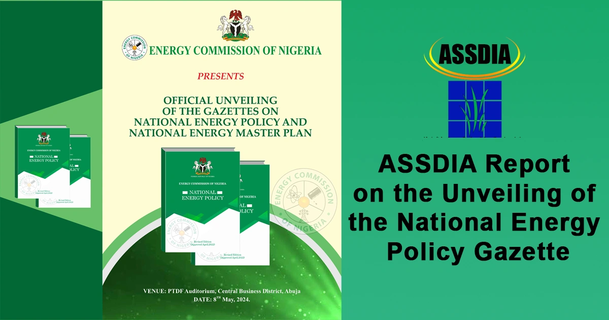 A graphic representation of ASSDIA Report on the National Energy Policy